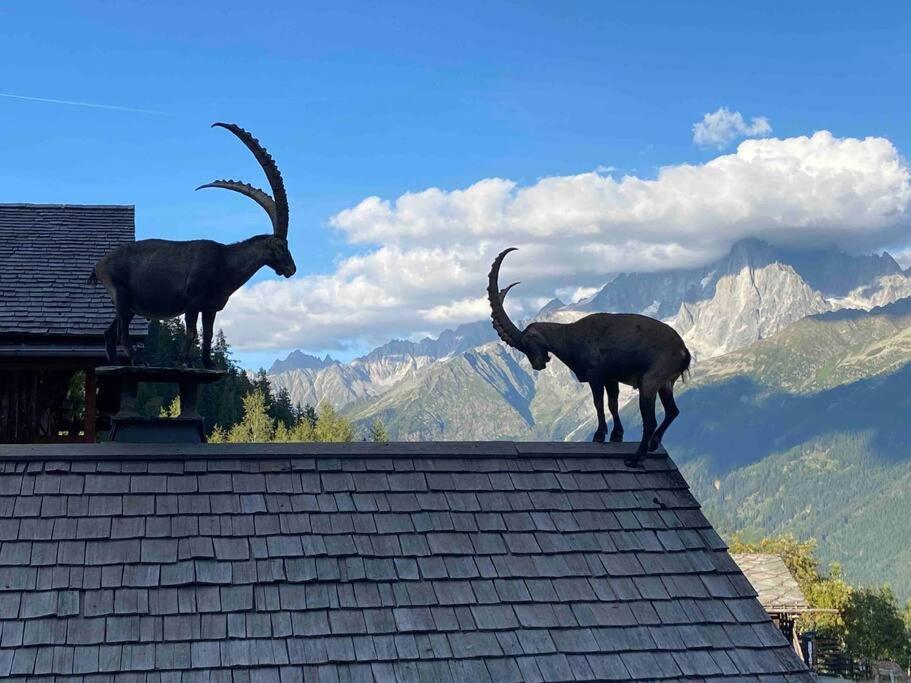 شقة Praz Sur Arly - Proche Des Pistes Et De Megeve المظهر الخارجي الصورة